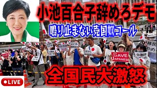 【小池百合子辞めろデモ】なに勝手にエジプト移民合意してんだよ💢 東京都エジプト移民合意を撤回せよ！学歴詐称、ソーラーパネルふざけんな！東京都庁第一庁舎前 2025/9/12 #さとうさおり