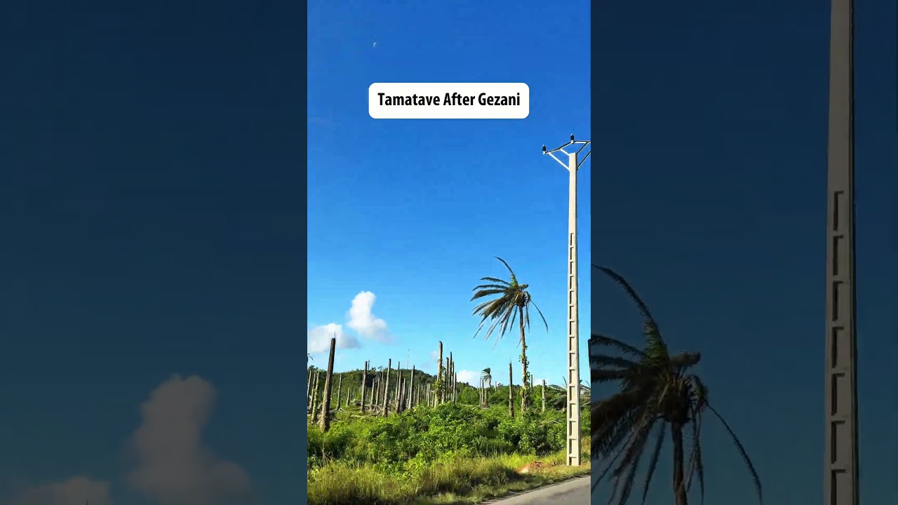 Tamatave After Cyclone Gezani