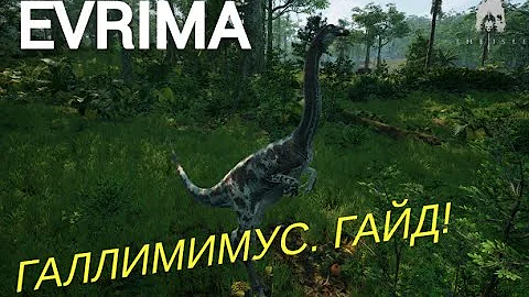 THE ISLE EVRIMA. ГАЛЛИМИМУС. ГАЙД! #theisleevrima
