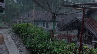 Heavy Rain & Thunderclap in My Village, Sleep Deeply Instantly | Rain Sounds for Sleep - indorain