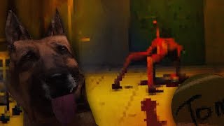 видео: СОБАКИ-МУТАНТЫ? ДА, И ЭТО УЖАС ☠️ | Canine картинка: СОБАКИ-МУТАНТЫ? ДА, И ЭТО УЖАС ☠️ | Canine