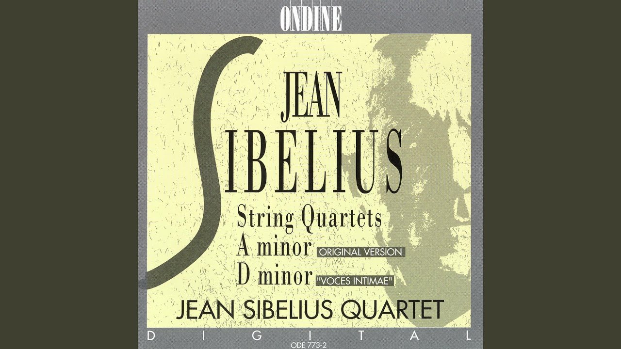 String Quartet in D Minor, Op. 56, "Voces Intimae": I. Andante - Allegro molto moderato