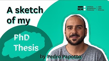 A Sketch of My PhD Thesis by Pedro Papotto (Bruno Silva-Santos Lab)