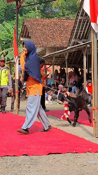 Jan dorpres be olih wedus segluntung beja banget ππ₯