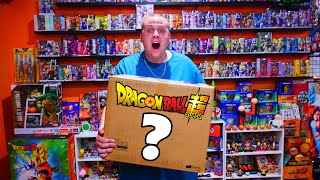 I Bought a GIANT Dragon Ball Mystery Box From Japan! Look Whats Inside!