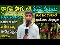 Success Story Of Kadapa Dragon Fruit Farm Maheswar Reddy | Dragon Fruit Farming at Hills | N5 Media