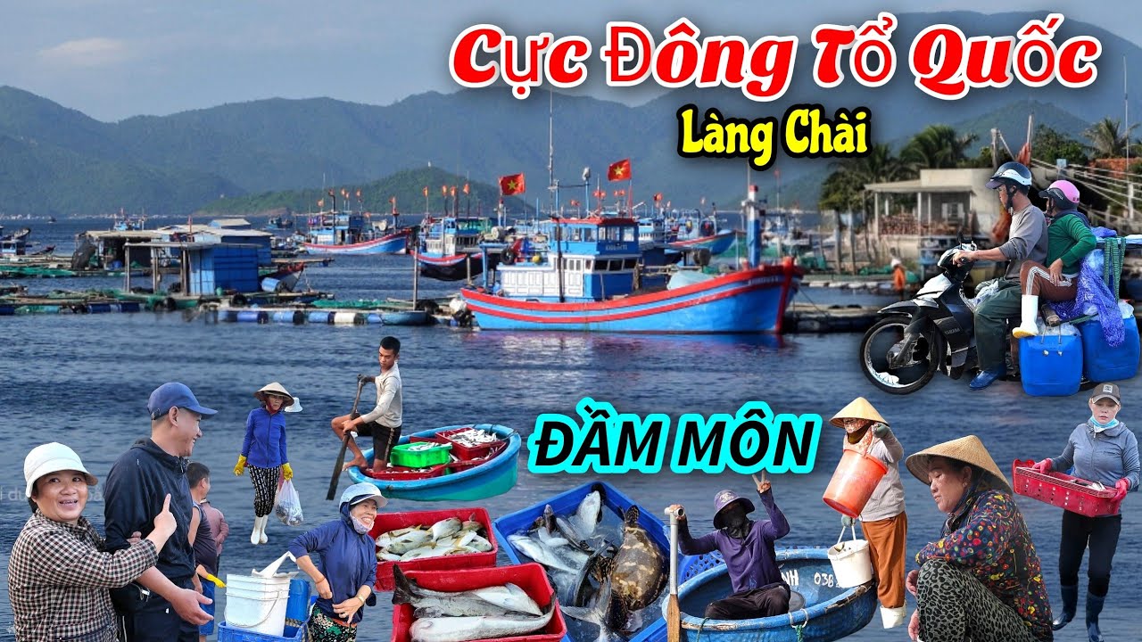 Làng chài trên bán đảo xa xôi Cực Đông tổ quốc - Bến cá, chợ, đường xá Đầm Môn.