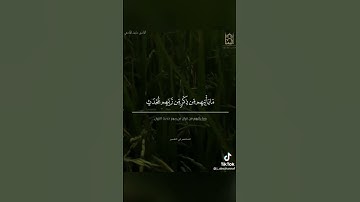 #ماجد_الحازمي #سورة_الأنبياء #quran #تلاوات_خاشعة #حالات_واتس #جامع_المهنا #explore #قرآن #اكسبلور