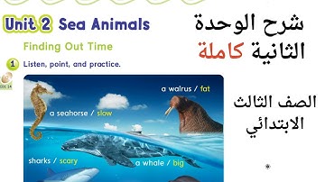 شرح الوحدة الثانية كاملة انجليزي Sea Animals للصف الثالث الابتدائي الفصل الاول منهج 1447