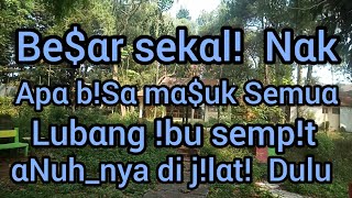 Kisah Nyata || Tαk pernαh terbαyαngkαn