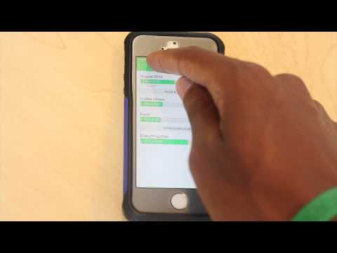 What Mint Ipad App Review