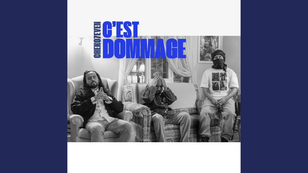 YouTubeでC'est dommageを視聴