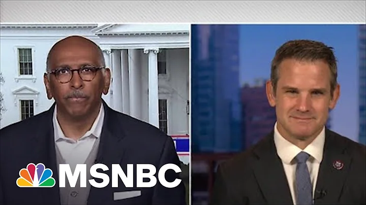 Rep. Kinzinger: “I Guarantee You Someone Is Going To Try This Again. Maybe Trump Himself”