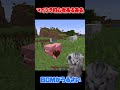 【マイクラ】初心者あるある#shorts #猫ミーム