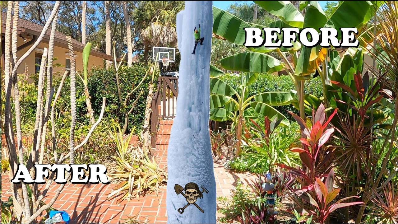 Florida Organic Tropical Garden Tour | Three Weeks after historic Winter Bomb Cyclone Freeze...