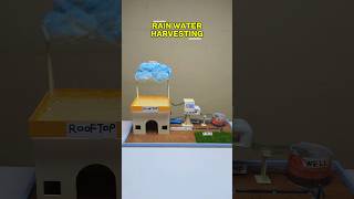 Rain Water Harvesting Model Working model 💧🌧️ #schoolproject #scienceproject #science #diy #shorts