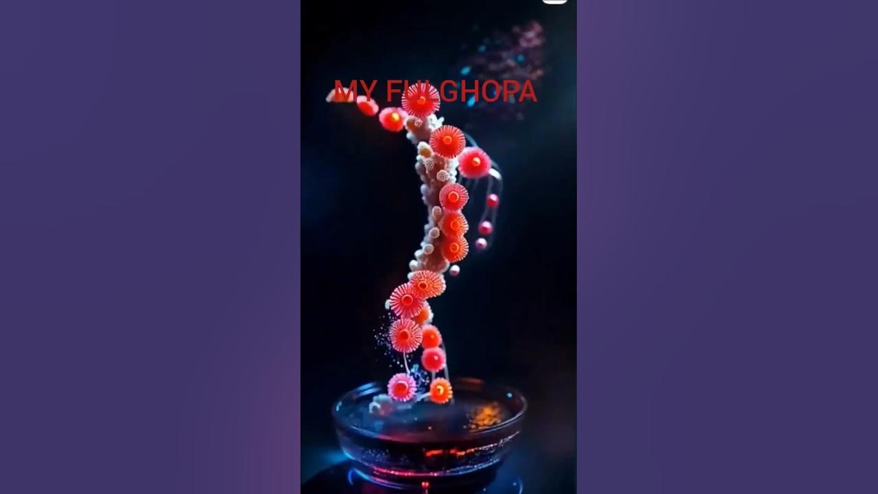 Beautiful flower dancing π π΅βπ« #beautiful #nature #flowers #dance #viralvideo #youtube Beautiful flower dancing π π΅βπ« #beautiful #nature #flowers #dance #viralvideo #youtube