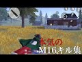 【荒野行動】本気のM16キル集 圧倒的ヘッド率 ［神曲］#11
