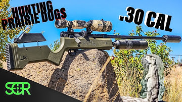 SMACKING PRAIRIE DOGS with the ULTIMATE GAUNTLET .30 CAL!
