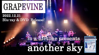 GRAPEVINE - in a lifetime presents another sky（Official Trailer)