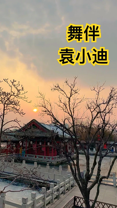 袁小迪 演唱「舞伴」❤️❤️❤️❤️❤️❤️👍👍👍👍👍👍/原唱 陳小雲（民國79年發行）