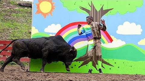 Jackass 3D (2010) - The Invisible Man