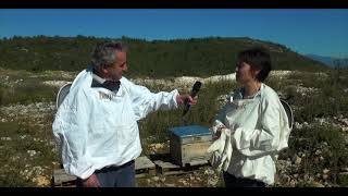 Balparmak Arıcılık Akademisi Arıcılık Mesleğine Nasıl Başlanır? Ece Hanım Anlatıyor