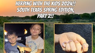 Herping with the kids 2024!!! South Texas spring edition, part 2!!