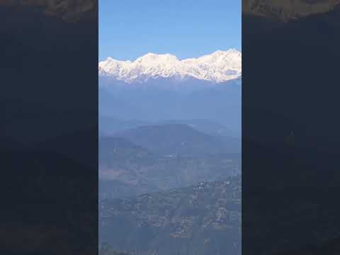 The Darjeeling #shorts