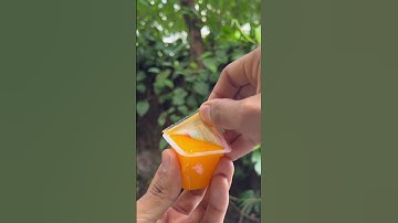 Only ₹5 Pudding #trending #viral #youtubeshorts #sufailsvibes #m4tech #ytshorts