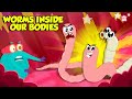 Terrifying Parasites Inside the Human Body | Tapeworms, Hookworm, Roundworm &amp; More | Dr. Binocs Show