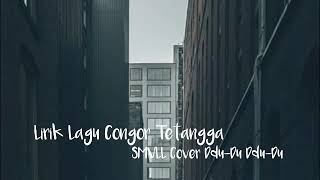 LIRIK LAGU CONGOR TETANGA - SMVLL Ddu-Du-Ddu-Du