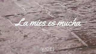 Video thumbnail of "La Mies Es Mucha - Música Instrumental De Adoración"