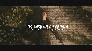 In My Blood - Shawn Mendes |SUBTITULADO Español/Ingles