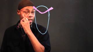 How to Draw Common Barn Owls