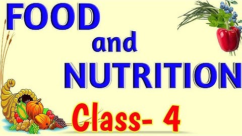 Food and Nutrition || Class 4 || Science || Food Preservation