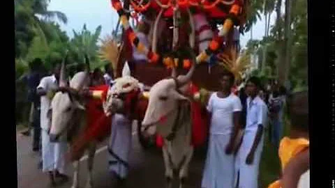 Maha Mangara Dewala Perahara50 Part6 Kadirana Negombo Sri Lanka