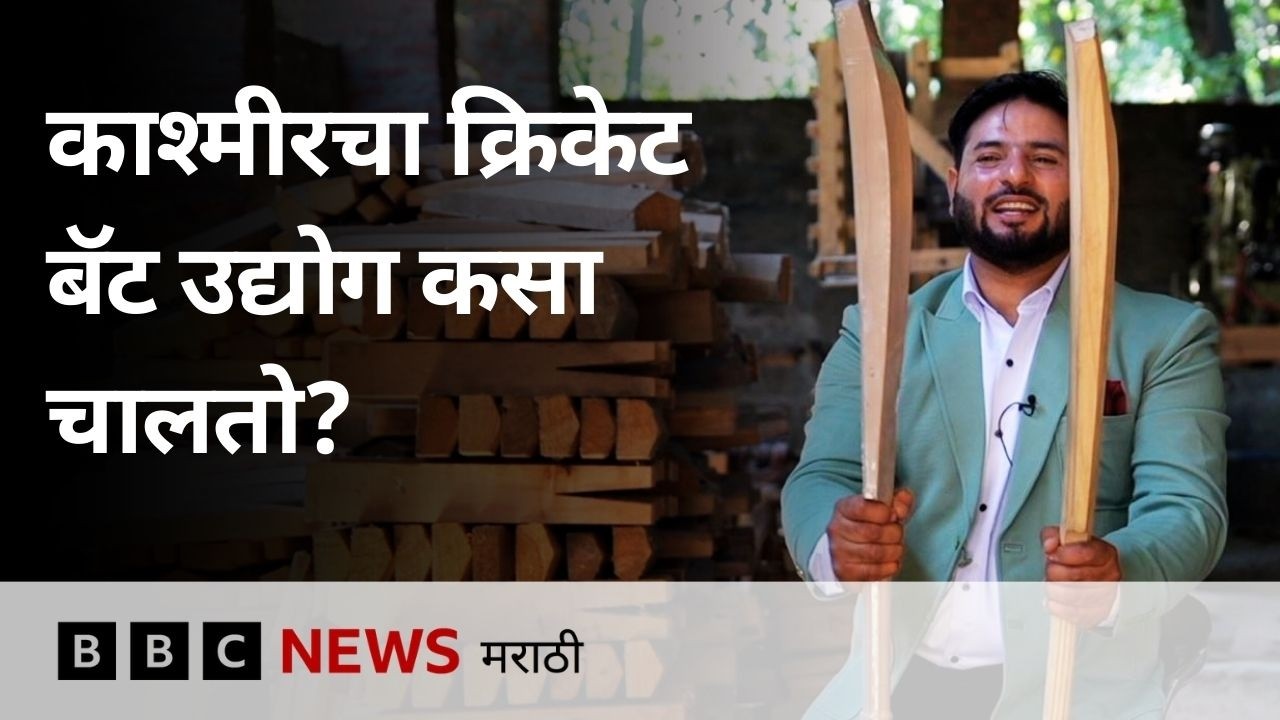 काश्मीरला जागतिक ओळख देणाऱ्या विलो बॅट व्यवसायासमोर आहेत 'ही' आव्हानं