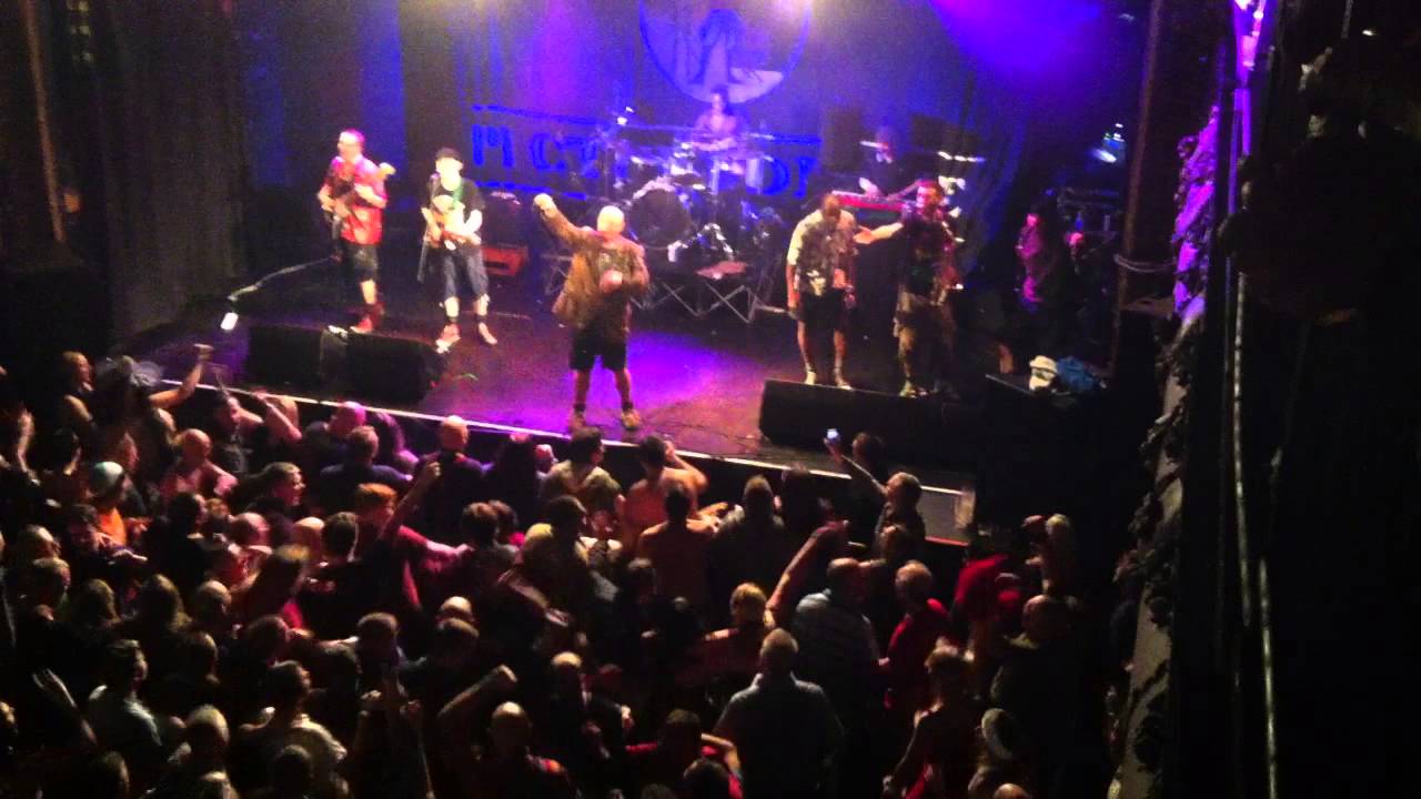 Bad manners tour dates – Irish in the American Civil War