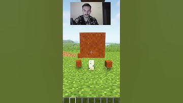 Turtle eggs logic 😂 Minecraft #shorts