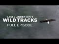 view Casey Anderson&apos;s Wild Tracks 104: Scavenger Showdown digital asset number 1