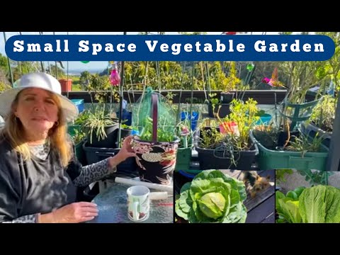 Video: Däcks grönsaksträdgårdsidéer - odla grönsaksträdgårdar på ett däck