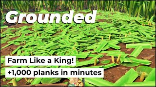 Farm like a KING! +1,000 planks in minutes – Grounded Tutorial Guide