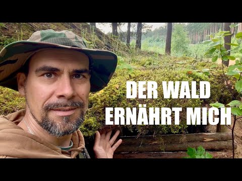 What you can forage in the forest right now | Mushrooms and edible wild herbs