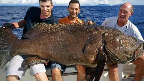 Nature is Brutal 😲#shorts # fish