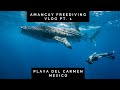 Amancay Freediving Vlog PT 1 | PLAYA DEL CARMEN || RAPHIE SHIN