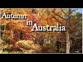 AUTUMN IN BRIGHT AUSTRALIA