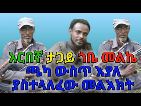 ቪዲዮ: በኦርኬስትራ ውስጥ ምን መሣሪያዎች ተካትተዋል