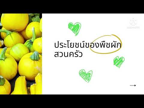 การงานอาชีพ ป1-ป.2 เรื่อง ประโยชน์ของพืชผักสวนครัว
