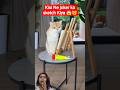 #cat #cats #catvideos #catfunnyvideo #anmals #petsrule #pets #petlover #ytshorts #shorts #explore